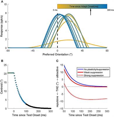 Short-Term Attractive Tilt Aftereffects Predicted by a Recurrent Network Model of Primary Visual Cortex